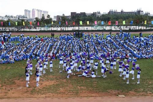 四川城市职业学校院校设立都有哪些专业