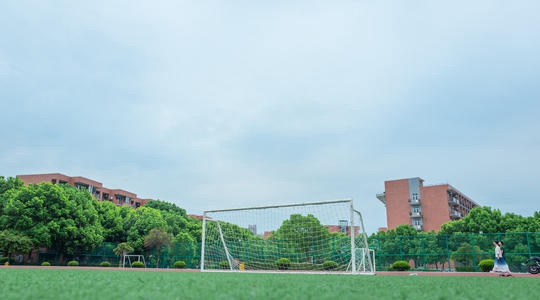 四川工商职业技术学校是公立还是民办学校的学校