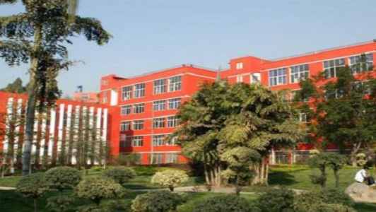 2021年四川哪所电商学校好? 2021年四川哪所电商学校好?