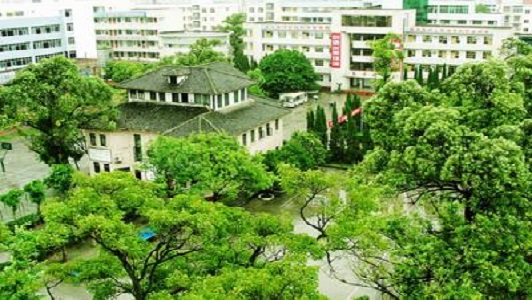 河南医疗卫生学校地址在哪里？