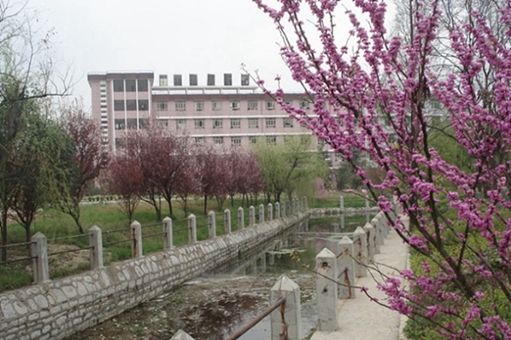 苍梧中等专业学校2022年报名条件、招生要求、招生对象 苍梧中等专业学校2022年报名条件、招生要求、招生对象