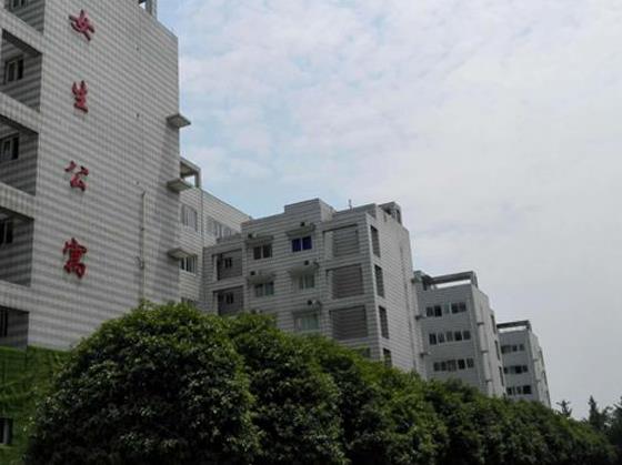 双滦职教中心2021年有哪些专业