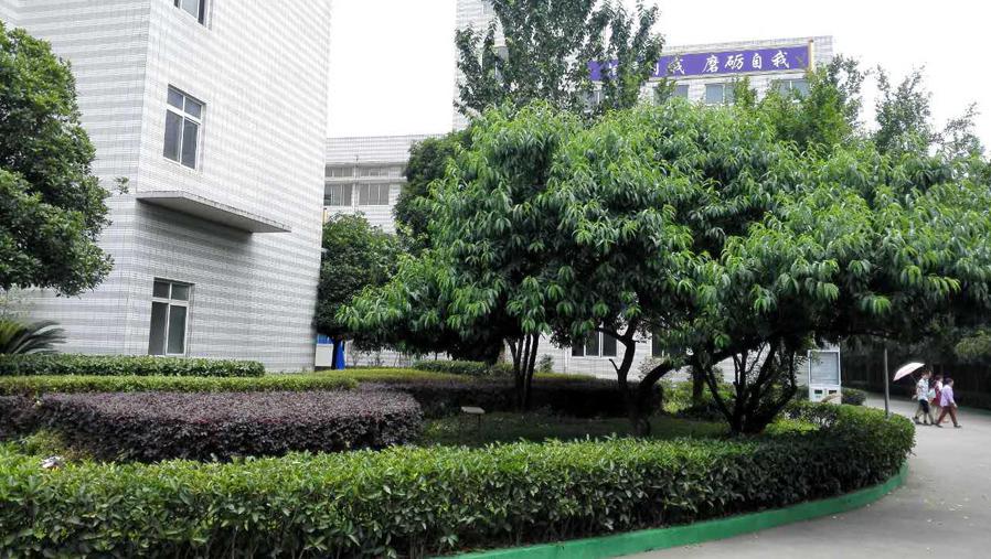 玉溪初中毕业能读中专吗？
