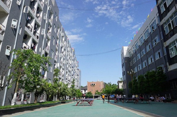 2022年重庆教育管理学校招生分数线 2022年重庆教育管理学校招生分数线