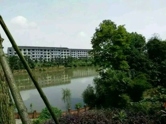 浏阳中协高新技术学校2021年报名条件 浏阳中协高新技术学校2021年报名条件