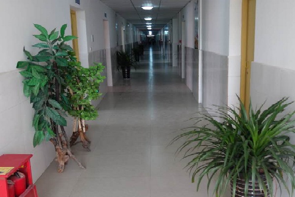 大关县职业中学网站 大关县职业中学网站