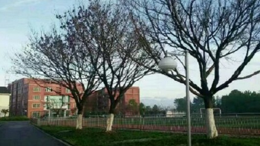 2022年南京金陵高职院校招生办联系电话 2022年南京金陵高职院校招生办联系电话
