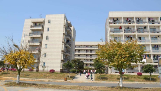 常德女子外语学校网站 常德女子外语学校网站